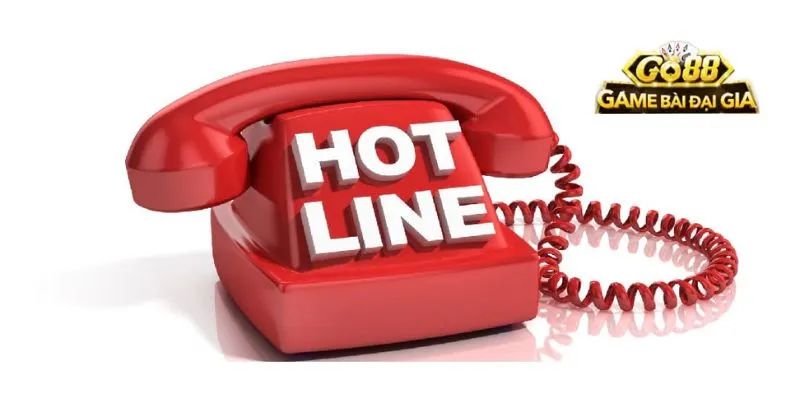 Liên hệ CSKH qua hotline