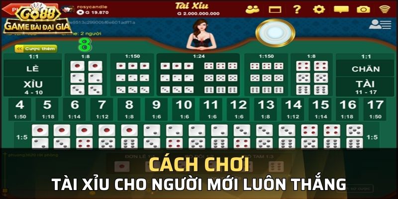 tài xỉu cho người mới