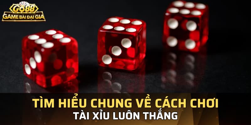 Tìm hiểu chung về cách chơi tài xỉu luôn thắng