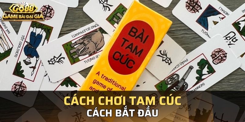 Bài tam cúc có nhiều khái niệm mới cần thời gian tìm hiểu